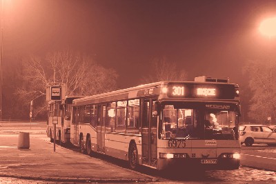 ImageSignature_IMG_2145.jpg