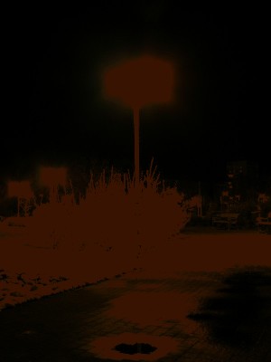 DSCF1026.jpg