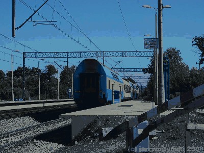 DSC_1201t.jpg