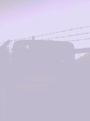 IMAGE_155.jpg (68.77 KiB) Przejrzano 771 razy IMAGE_155.jpg