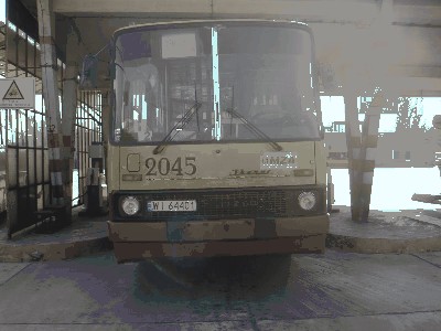 PICT0433.jpg