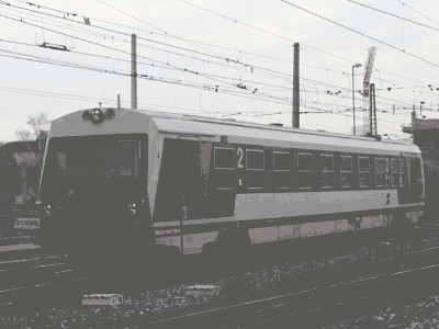 starsza  odmiana VT627.jpg