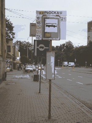 plocka.52.jpg