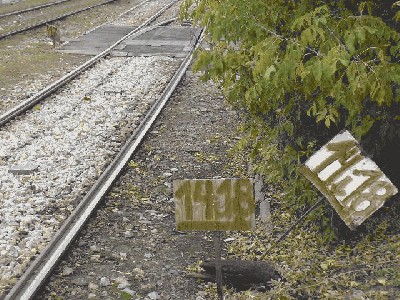 DSCF0327.JPG