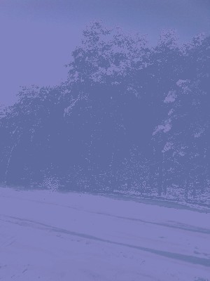 zima.jpeg (188.94 KiB) Przejrzano 720 razy zima.jpeg