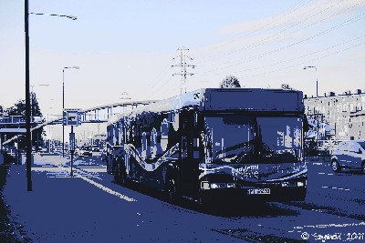 6430.jpg