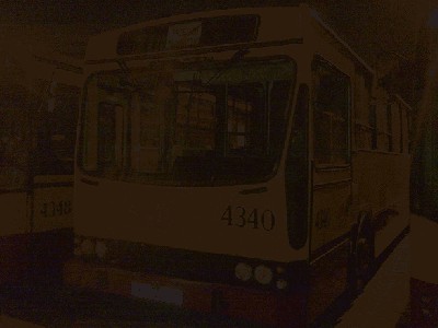 Zdjęcie1274.jpg