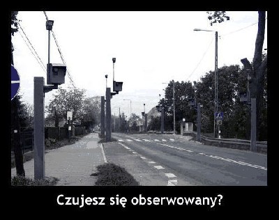 Fotopstryczki.jpg (30.08 KiB) Przejrzano 627 razy Fotopstryczki.jpg