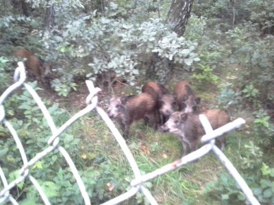 20170905_185211.jpg